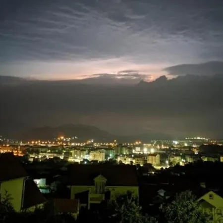 Pogled